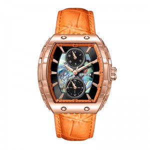 Expedition 6782 Rosegold Orange Lady New BFLRGBAOR